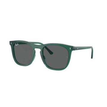 Ochelari de soare Ray-Ban RB2210 6615B1