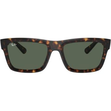 Ochelari de soare unisex Ray-Ban RB4396 1359/71 Warren